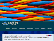 Tablet Screenshot of buvarkft.hu